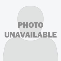 vinetto